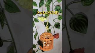 Bird Cage  Surah al Mulk [upl. by Rick]