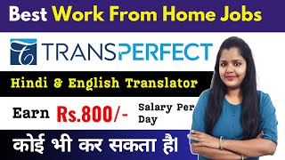 Online Hindi English Translator Job  Online Work From Home  Transperfect  Work From Home Job 2024 [upl. by Alra938]