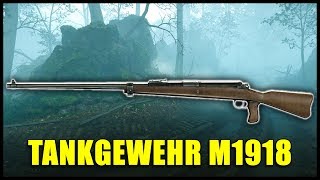 Tankgewehr M1918 im historischen Waffen Guide  BATTLEFIELD 1 [upl. by Czarra35]