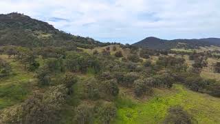 Mareeba Rd Scone [upl. by Lorrimer]