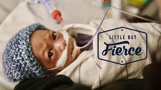 NICU Story  My 29 Week Preemie [upl. by Ahsitam3]