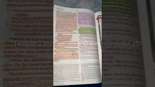 Turn to Matthew Chapter 15📖 foryou shorts biblestudy christian subscribe faith jesuschrist [upl. by Andrey581]