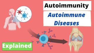 Autoimmunity Immunology  Autoimmune Disease and Immune Tolerance explained [upl. by Anni846]