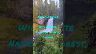 Sahalie Falls Willamette National Forest Oregon naturegrandpa waterfall shorts [upl. by Htide]