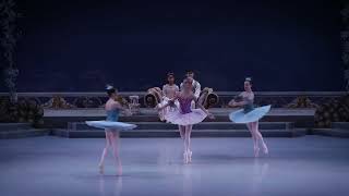 CasseNoisette  Gouttes de Rosée  Extrait  Les Grands Ballets [upl. by Viola]