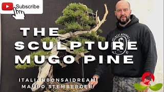 The Sculpture Mugo Pine [upl. by Gaiser]