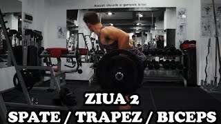 Spate  Trapez  Biceps  Ziua 2  Program incepatori [upl. by Nairadal]