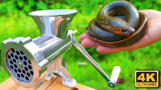 Experiment MEAT GRINDER vs EEL FISH CATFISH [upl. by Tcideneb]