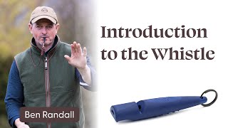 Introduction to the Whistle [upl. by Kacie]