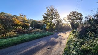 Walking about in Farleigh Woods Live 27102024  Mobile Stream 821 [upl. by Trip]