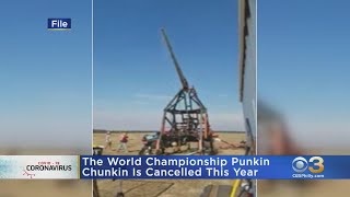 World Championship Punkin Chunkin Canceled [upl. by Bilac]