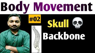 Class6 Science Guru  Chapter8  Skull  Backbone  NCERT  CBSE  02 [upl. by Mayor985]