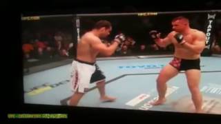 MIRKO CRO COP KNOCKED OUT [upl. by Aneekat]