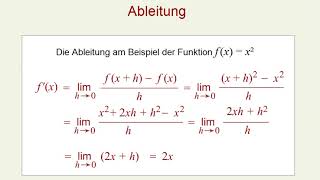 Die Grundidee des Differenzierens [upl. by Doralyn]