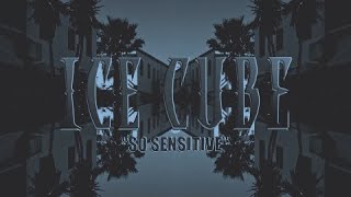 Ice Cube  So Sensitive  Lyric Video [upl. by Milore983]