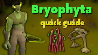 Bryophyta Quick Guide F2PP2P  OSRS [upl. by Yelahc30]