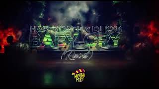 HarryCane x DJ KSB  Baby Cry [upl. by Donell909]