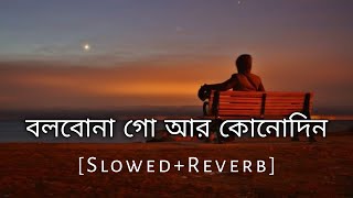 Bolbo Na Go Ar Kono Din  Slowed And Reverb  Baul Sukumar  Bengali Lofi Song  10 PM BENGALI LOFI [upl. by Josi]