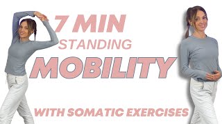 7 Minute Daily Standing Mobility amp Stretch [upl. by Emeric]