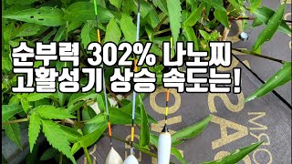 순부력 302 나노찌 고활성기 상승 속도는 붕어 낚시 [upl. by Shaya837]