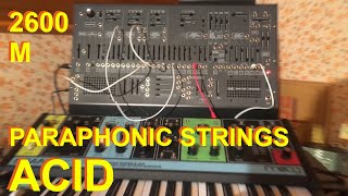 Arp 2600 M Paraphonic Strings Acid [upl. by Dottie]