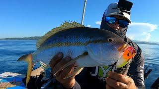 Pescando en Cabo Rojo Pitahaya Popper Colirubia  jurel  Barracuda [upl. by Sager912]