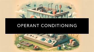 Understanding Operant Conditioning [upl. by Refinney]