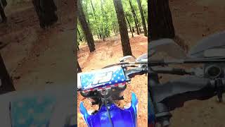 Trail Riding at Croom Motorcycle Area [upl. by Chrysler]