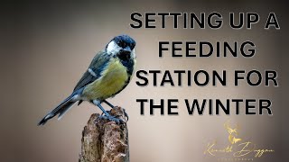 Setting up a Bird Feeding Station for Winter Practice [upl. by Lig]