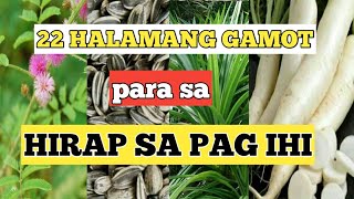 HALAMANG GAMOT PARA SA HIRAP SA PAGIHI [upl. by Aizahs741]