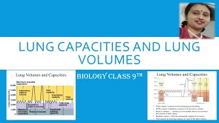 LungVolumesLungCapacitiesICSE9thBiologyTidalVolumeIRVERVResidualVolTotalLungcapacityVC [upl. by Eylk]