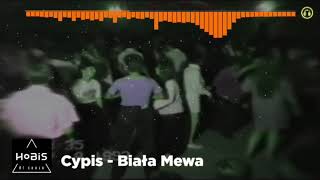 AI Cover 🤖🎤Lyrics Cypis  Biała Mewa ale Disco Polo 90 [upl. by Vena597]