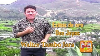 WALTER TAMBOEXITOS DE ORODOS JOYASOficial Youtube [upl. by Weinberg592]