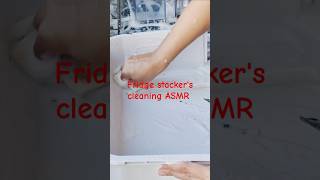 ASMR Fridge Stackers cleaning shortsvideo cleaning asmrcleaning shortfeed [upl. by Anelrihs]