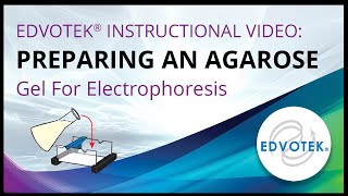 Preparing an Agarose Gel For Electrophoresis  Edvotek Video Tutorial [upl. by Ainaled885]