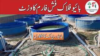 Visit of Biofloc fish farm in Pakistan part2  biggest Biofloc Setup with hydroponic farming [upl. by Attecnoc]