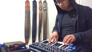 Raveena · Honey Synth Bass cover · Novation Bass Station II [upl. by Nirahs]