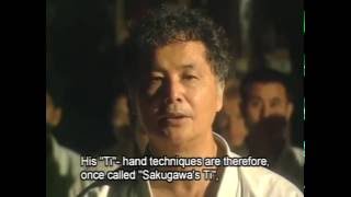 Tetsuhiro Hokama GojuRyu Techniques [upl. by Ingham]