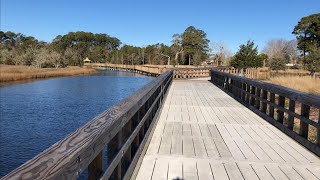 Shallotte Riverwalk and a 2000 yr old live oak tree  Shallotte NC [upl. by Euqilegna462]