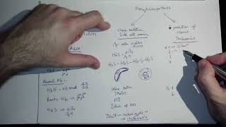 Hemoglobinopathies by Coiled in ENGLISH [upl. by Wiltsey]