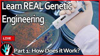 LIVE Learn Genetic Engineering  Part 1 How does it work [upl. by Aekim]