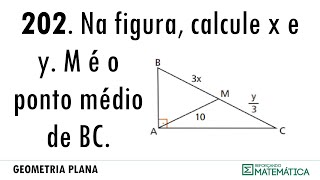 C06 PERPENDICULARIDADE 202 [upl. by Herrington236]