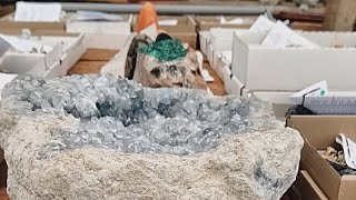 Live Mineral Specimen and Fossil wholesale [upl. by Comethuauc]