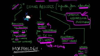 LUNG ABSCESS  RESPIRATORY SYSTEM  PATHOLOGY [upl. by Llenna460]