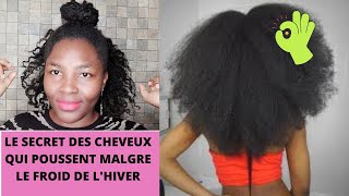 5 FACONS DE FAIRE POUSSER LES CHEVEUX CREPUS PLUS VITE EN HIVER [upl. by Celisse901]