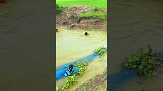 PICKEREL AND MINNOW CATCHES IN KRISHNA VILLAGE [upl. by Chelsea887]