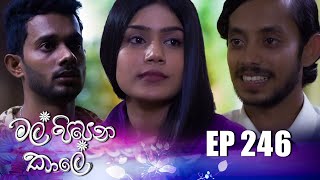 Mal Pipena Kale  Episode 246 13th September 2022 [upl. by Reiter]