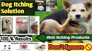 dog itching problem solution in hindi  dog itching solution  dog itching solution  dog Itching [upl. by Leandra189]