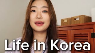 Medical students gap year life🕊️Korea VLOG🇰🇷 [upl. by Sawyor]