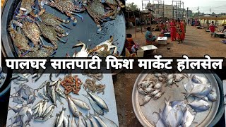 Satpati Fish Market Palghar Maharashtra  Palghar Satpati Wholesale Fish Market 2023 fishmarket [upl. by Ainwat]